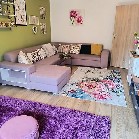 Sweet Garden Residence Брашов Екстер'єр фото
