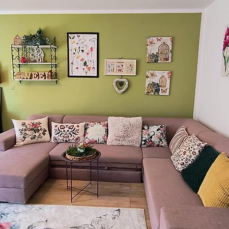 Sweet Garden Residence Брашов Екстер'єр фото
