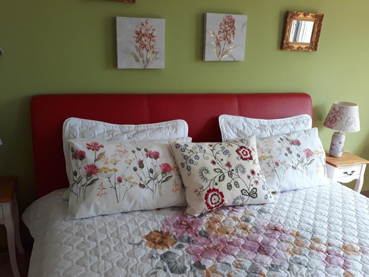 Sweet Garden Residence Брашов Екстер'єр фото
