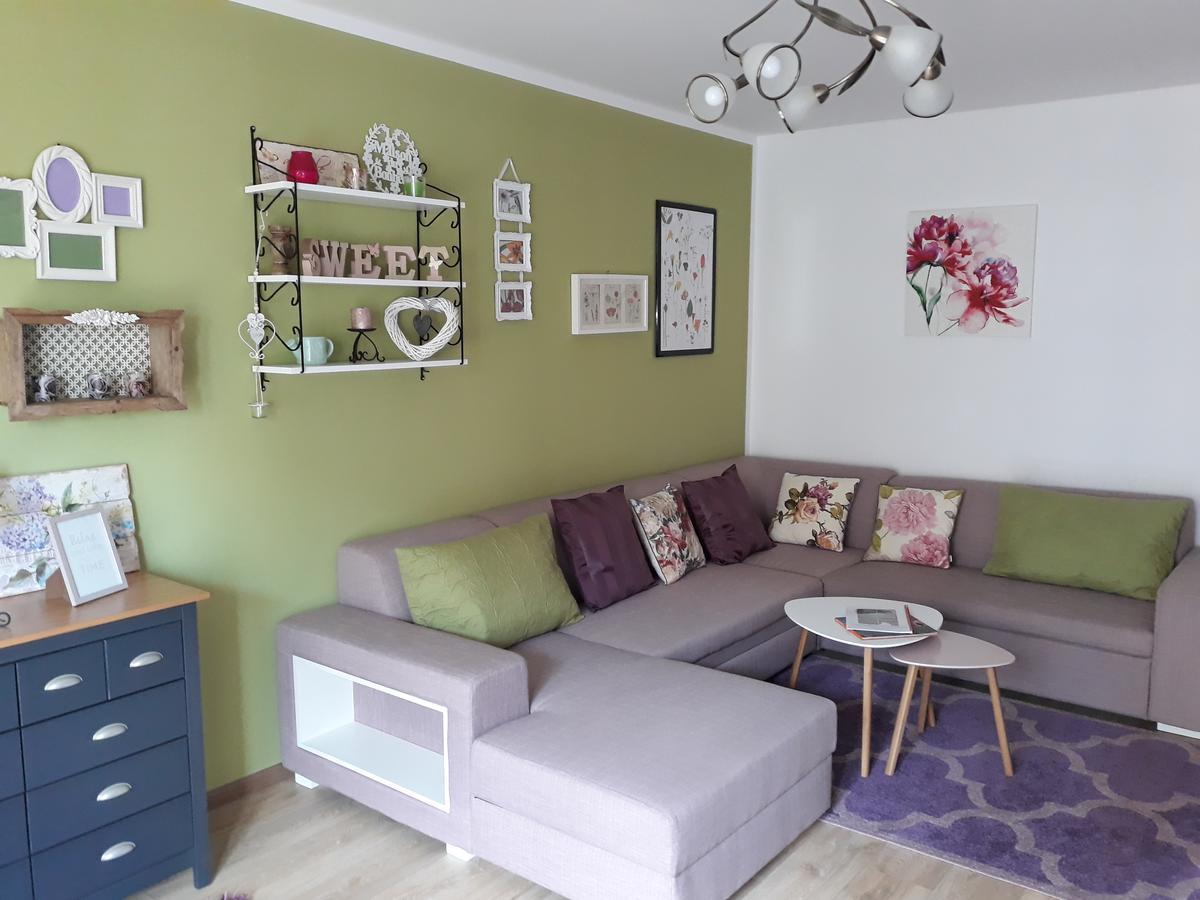 Sweet Garden Residence Брашов Екстер'єр фото