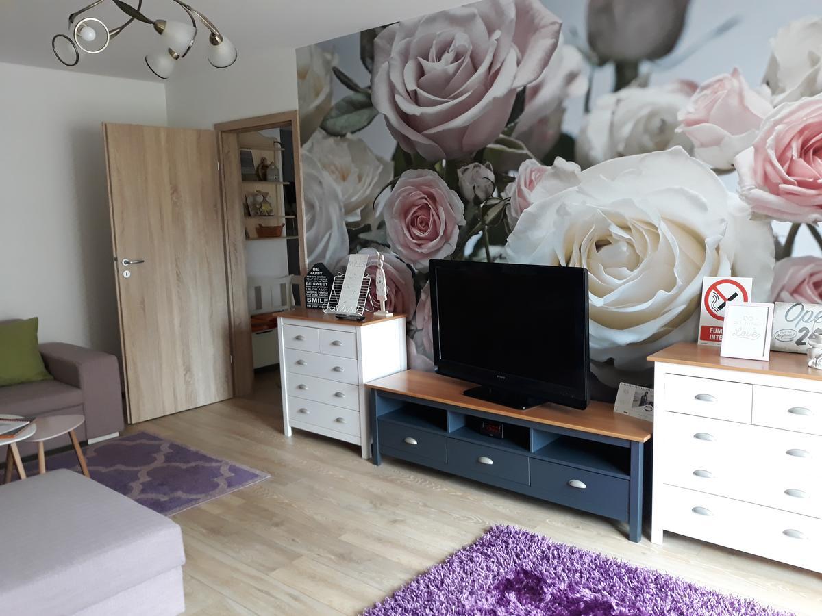 Sweet Garden Residence Брашов Екстер'єр фото